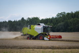 开云官网体育-田径跨项目交流营探索协同训练新方式，田径跨栏的动作讲解